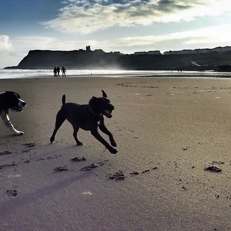 בית נופש Five Star *