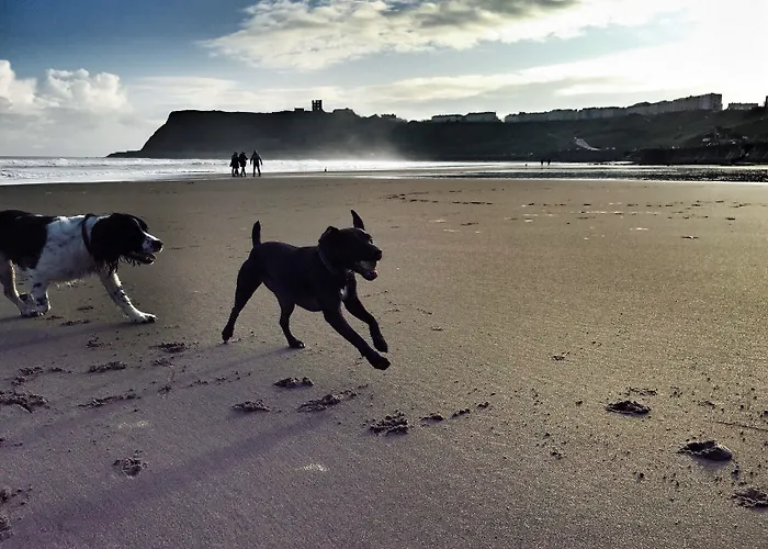 Σπίτι διακοπών Five Star *